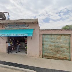 Papeleria Y Floreria Temastian