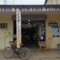 Papelería Y Mercería Flores