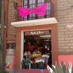 Papillon Floreria