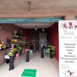 Paraiso De Las Flores