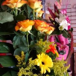 Paraiso Floral "ene"