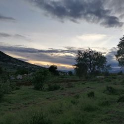 Parque