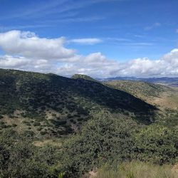 Parque Nacional Gogorrón