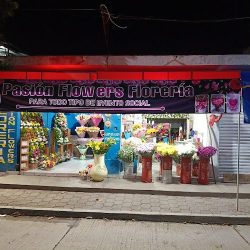 Pasión Flowers
