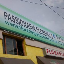Passionaria Florerias