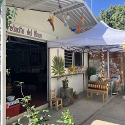 Pedacito Del Alma