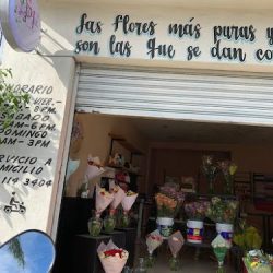 Pedro Flowers