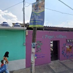 Pepe's Flores