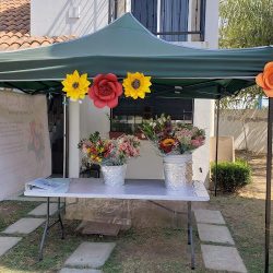 Pétalos De Mi Tierra - Floristería