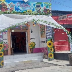 Pétalos Florería