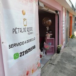 Petalos Rosas