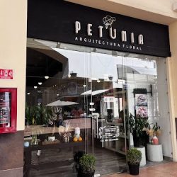 Petunia Arquitectura Floral