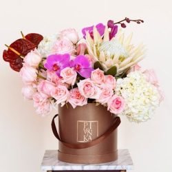 Pivonka Flores