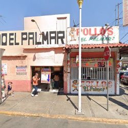 Plantas E Insumos Para Jardín Ortega