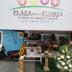 Plaza De Las Flores Cuauta
