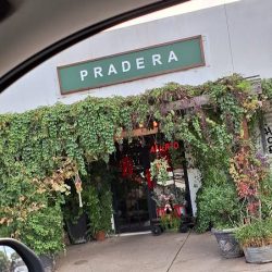 Pradera | Envío De Flores Frescas