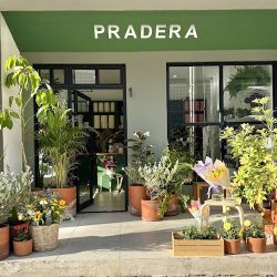 Pradera | Envío De Flores Frescas