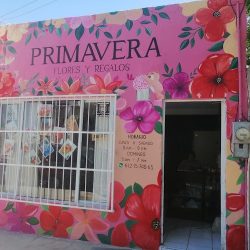Primavera Flores Y Regalos