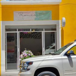 Promesse Flower Shop