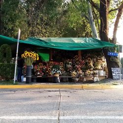 Puesto De Flores Echegaray