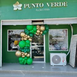 Punto Verde Minatitlan