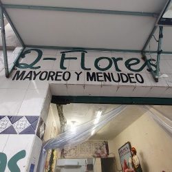 Q-flores