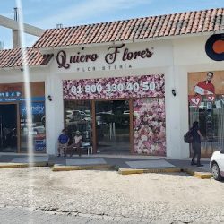Quiero Flores