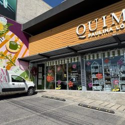 Quimera Paulina López