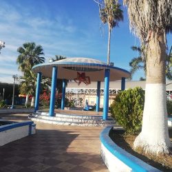 Quimichis Nayarit