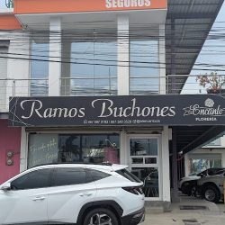 Ramos Buchones El Encanto