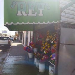 Ramos De Rosas "rey"