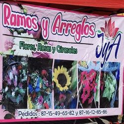 Ramos Y Arreglos J&a