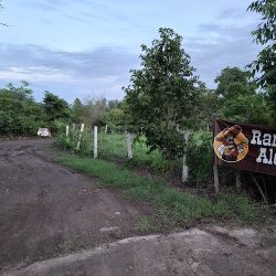 Rancho Alegre