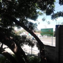 Rancho Viejo