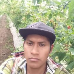Raymundo Flores Hilario El Aguacate