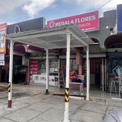 Regala Flores