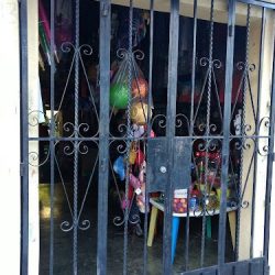 Regalos Y Novedades Las Flores