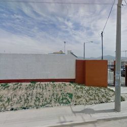 Renata Ventas (plantas Maky)
