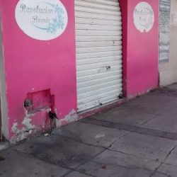 Revolución Florería
