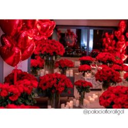 Rey Floral Gdl