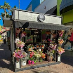 Rg Floral Macroplaza