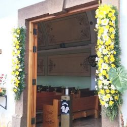 Rosa De Oro