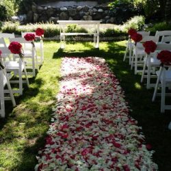 Rosa Mexicano Diseño Floral