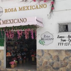 Rosa Mexicano Diseñofloral