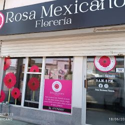 Rosa Mexicano Florería