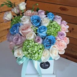 Rosa Pastel FlorerÍa