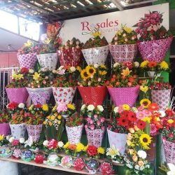 Rosales Floreria