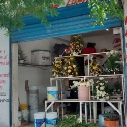Rosas De Lupita