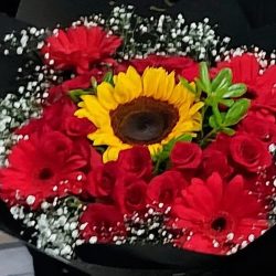 Rosas Frescas San Juditas