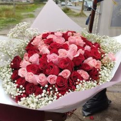 Rosas Frescas Santiaguito